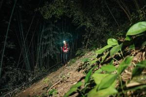 BIB: 
                            <button type="button" onclick="openModal(28154709)" class="btn btn-primary btn-sm float-right btn-popup" data-toggle="modal" data-target=".modal-high-quality">
                        <i class="fas fa-shopping-cart"></i> Add to Cart
                    </button>
                                            <button type="button" onclick="isThisMe(28154709, true)" class="btn btn-success btn-sm float-right btn-popup btn-isme hidden" data-toggle="tooltip" data-placement="bottom" title="นี่คือรูปของคุณใช่ไหม คลิกที่นี่เพื่อเอาเข้าอัลบั้ม">
                        <i class="fas fa-plus"></i> Add to album
                    </button>
                    <button type="button" onclick="isThisMe(28154709, false)" class="btn btn-warning btn-sm float-right btn-popup btn-isnotme hidden">
                        <i class="fas fa-ban"></i> Remove from album
                    </button>